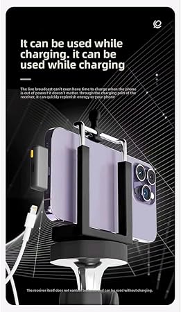 MICROPHON HOLLY LAND (COPY)