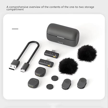 MICROPHON HOLLY LAND (COPY)