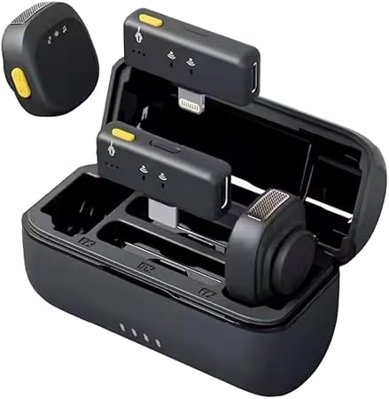 MICROPHON HOLLY LAND (COPY)