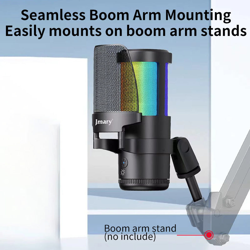 MICROPHONE JMARY MC-PW 13